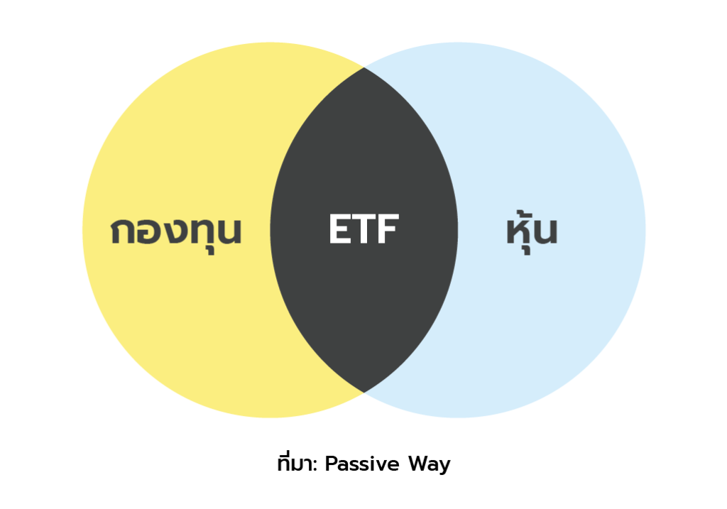 กองทุน ETF คือลูกผสมระหว่างกองทุนรวมและหุ้น